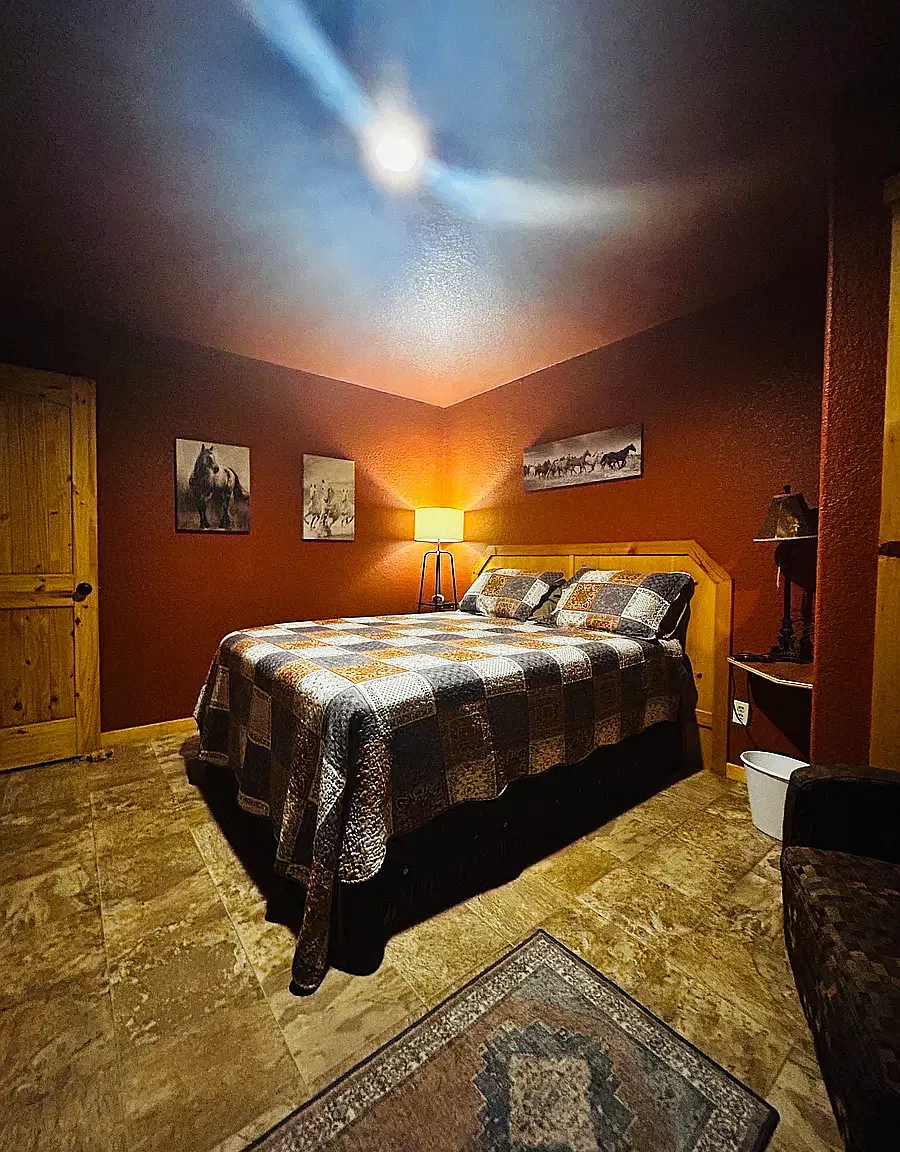 1 bed, $895 — Photo 4