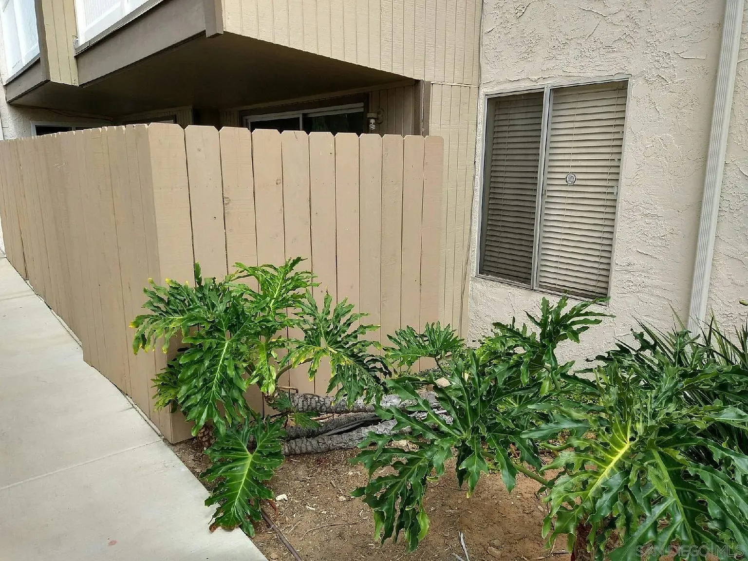 1 bed, 1.0 bath, 645 sqft, $1,950 — Photo 4