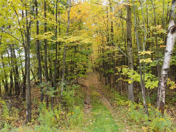 Clark Road Hornellsville, Hornell, NY 14843