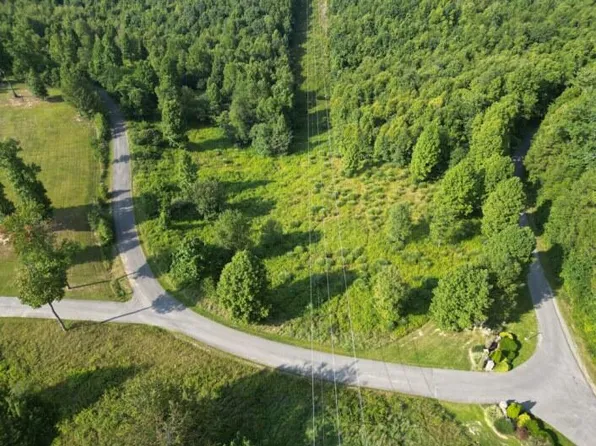 1 River Ridge Ln, Mount Nebo, WV 26679