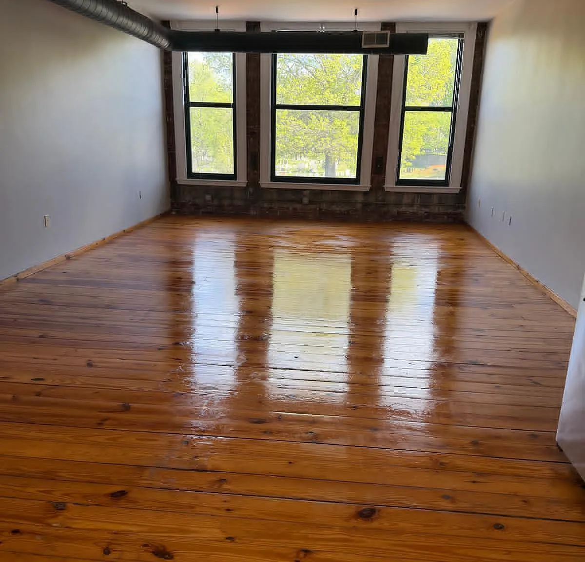 1 bed, 9999 sqft, $2,450 — Photo 3