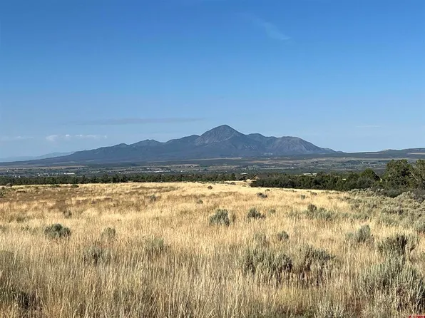 Lot 2 Road T.5, Dolores, CO 81323