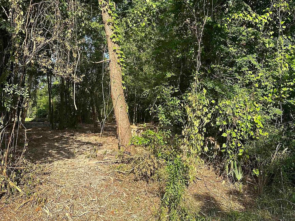 2nd image of Elmwood Pl
