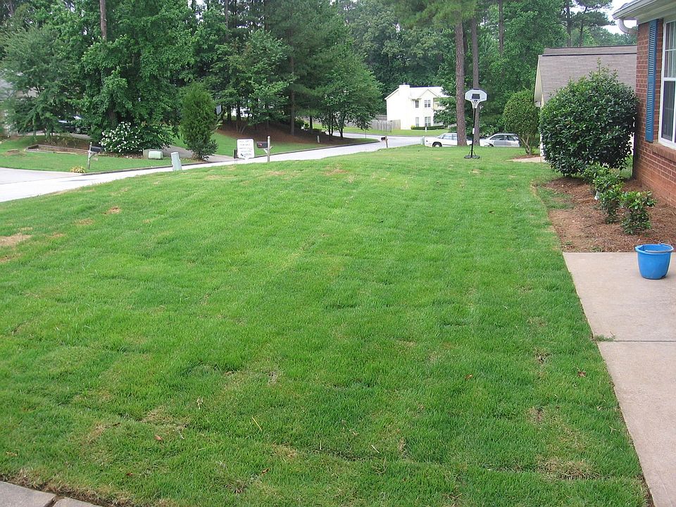Front Lawn