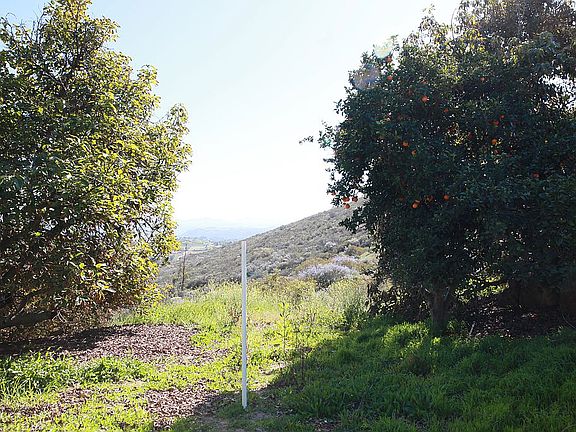 orange / avocado @ entrance