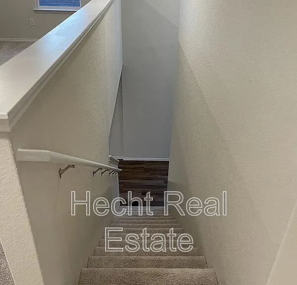 451 Forsythia — Photo 22