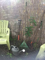 Rented by David Berkowitz, LREB