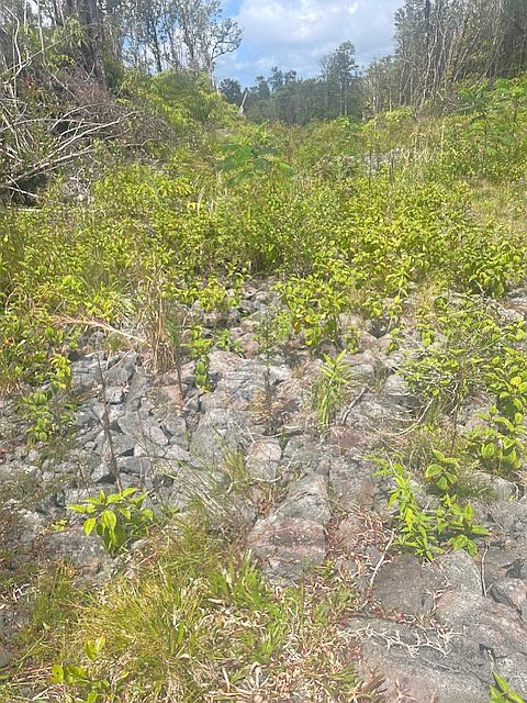 1st image of Lehua St Lot 6887