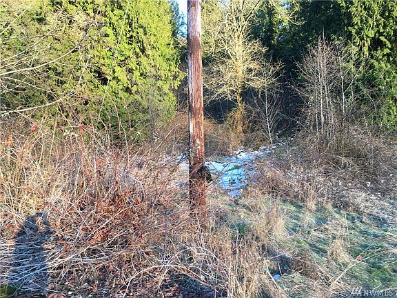 4th image of 7303 120th Ave SE