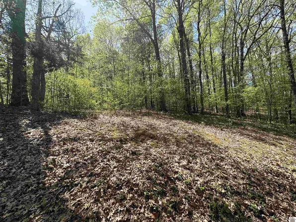 625 Country Hills Dr Lot 16, Eddyville, KY 42038