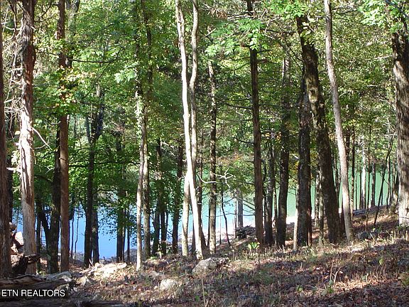 3rd image of LOT 125 Saddleridge Dr