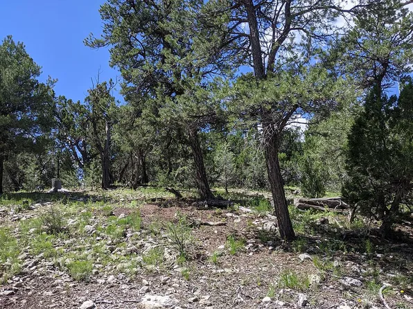 3457 Carefree Rd, Heber, AZ 85928