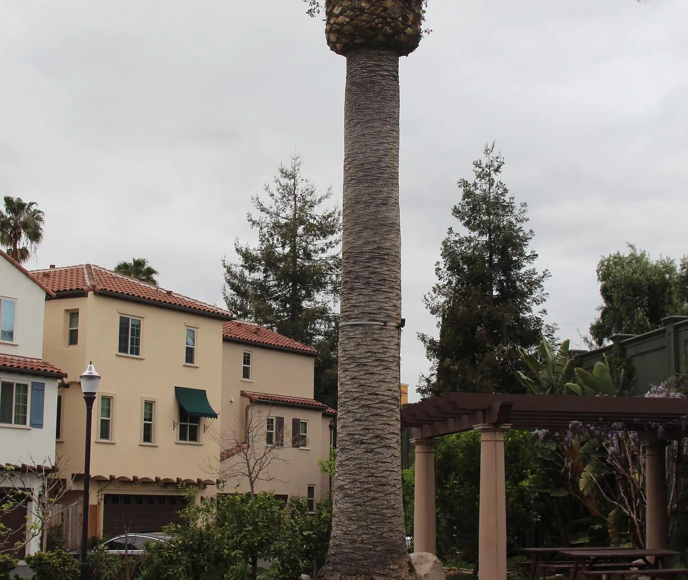 1 bed, $1,600 — Photo 4