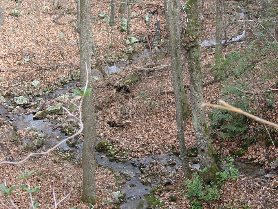 Lot leads to a creek