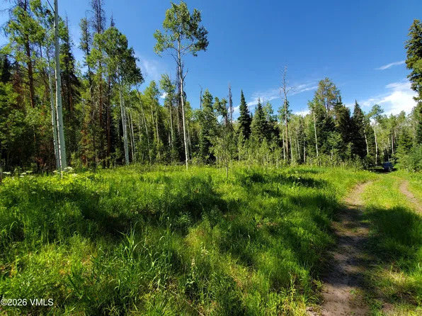 20381 King Bolt Trl, Oak Creek, CO 80467