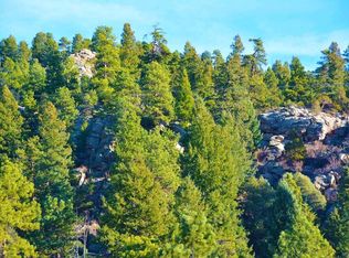 Calfee Gulch Rd, Conifer, CO 80433