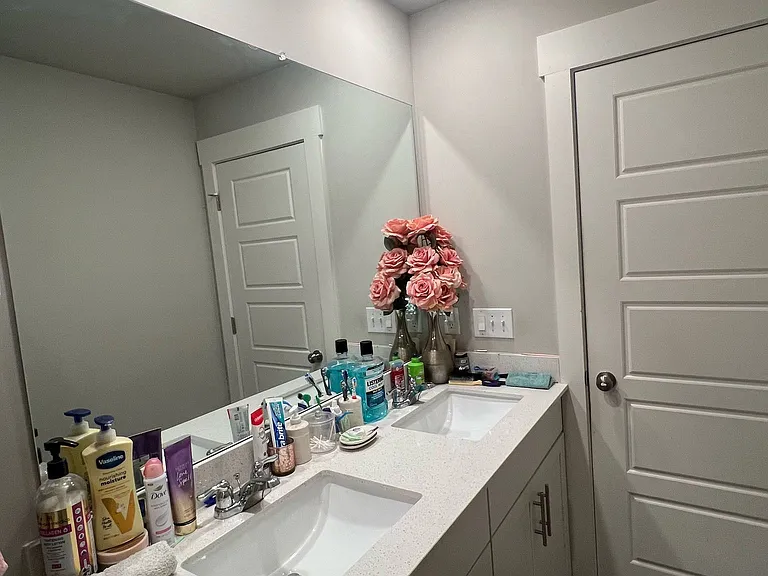 533 Torrey Pines Ln — Photo 9