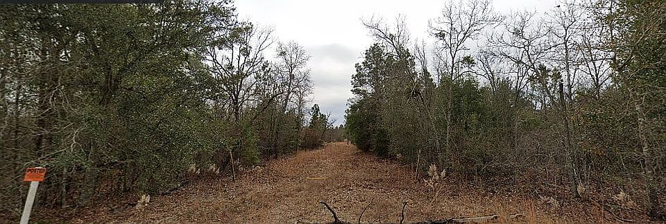 2nd image of Cedar Rd