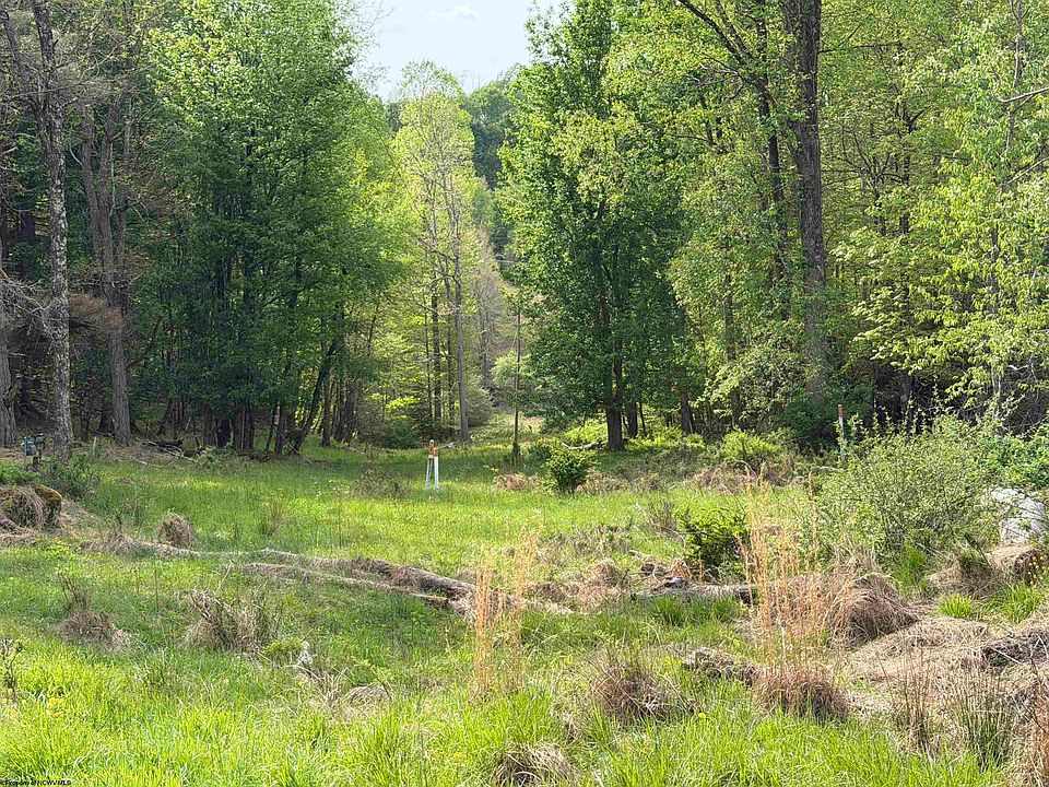 25th image of 2494 Seng Run Rd
