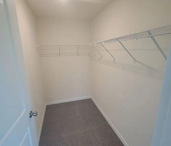 35364 Spruce Knob Ct — Photo 12