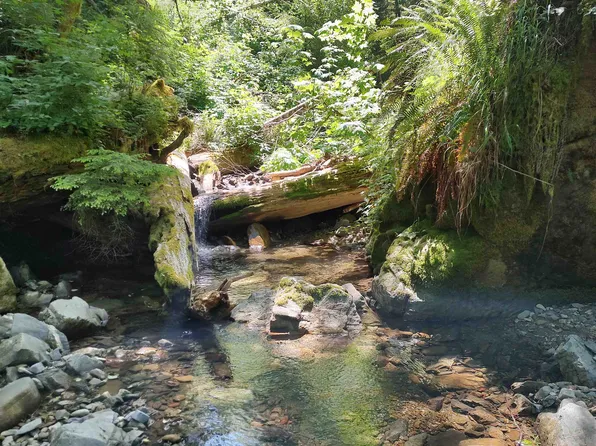 0 Rowdy Creek Rd, Smith River, CA 95567