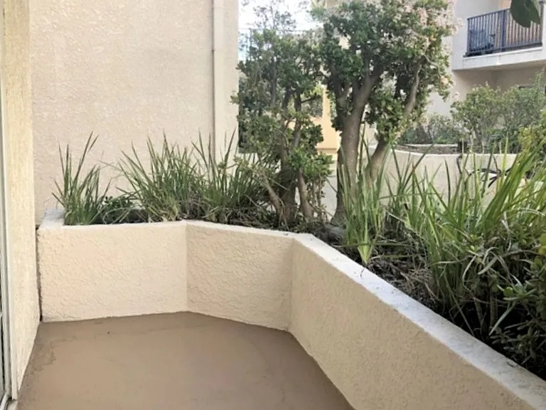 Palm Terrace — Photo 17