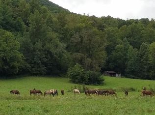 1 Waldens Creek Rd, Sevierville, TN 37862