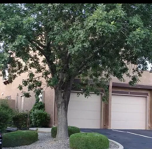 2 bed, 1100 sqft, $1,850 — Photo 2
