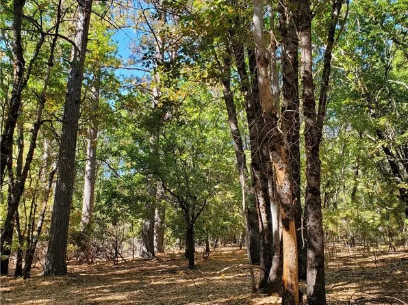 13025 Black Oak Rd, Loch Lomond, CA 95461