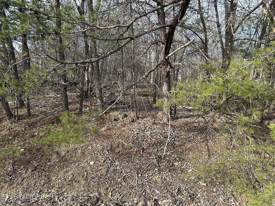 1st image of 121 Motthaven Dr Lot 113