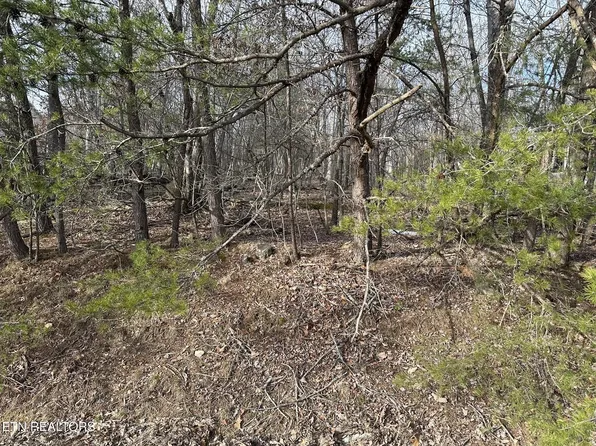 121 Motthaven Dr Lot 113, Crossville, TN 38558