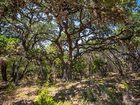 3rd image of 2186 Fm 470 LOT 1