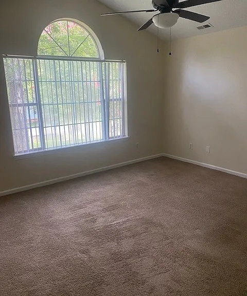 3512 Sassafrass Trl — Photo 11