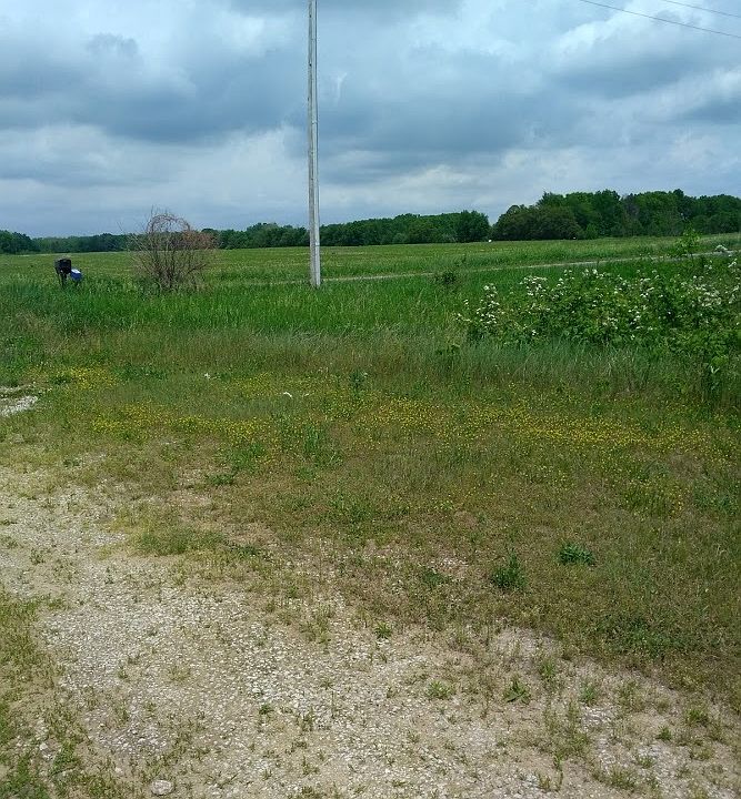 2nd image of 20401 14b Rd