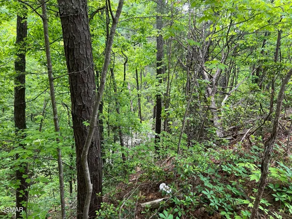 4 Yost Way, Sevierville, TN 37876