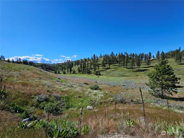 290 Point Drive, Oroville, WA 98844