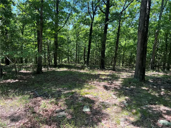 Madison County Rd #5330, Huntsville, AR 72740