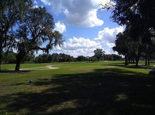 507 S Timber Trl, Wildwood, FL 34785