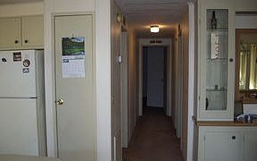 3rd image of 1304 Black Olive Dr
