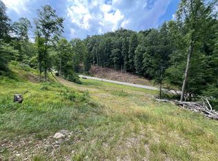 Walker Fork Rd, Copen, WV 26615