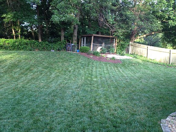 Dog Kennel - back yard