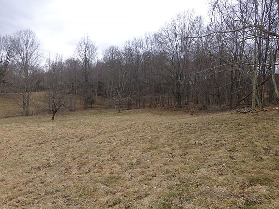 Meadow and fruit trees
