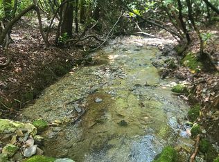 0 Allen Cv, Rabun Gap, GA 30568