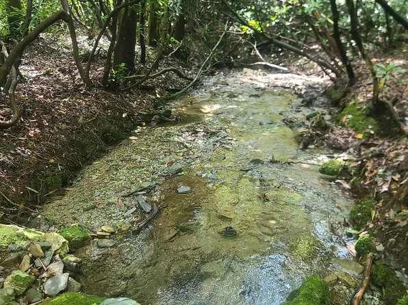 0 Allen Cv, Rabun Gap, GA 30568