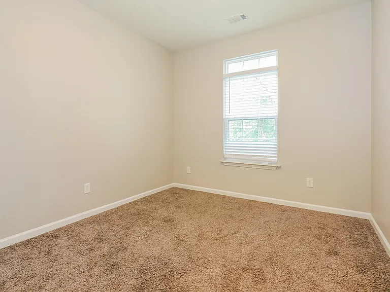 295 Monarch Village Way — Photo 13