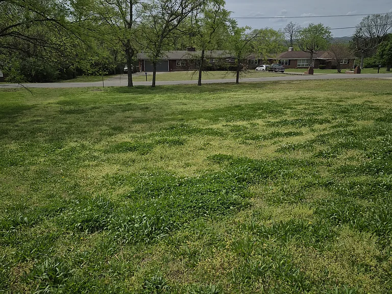 Backyard of home