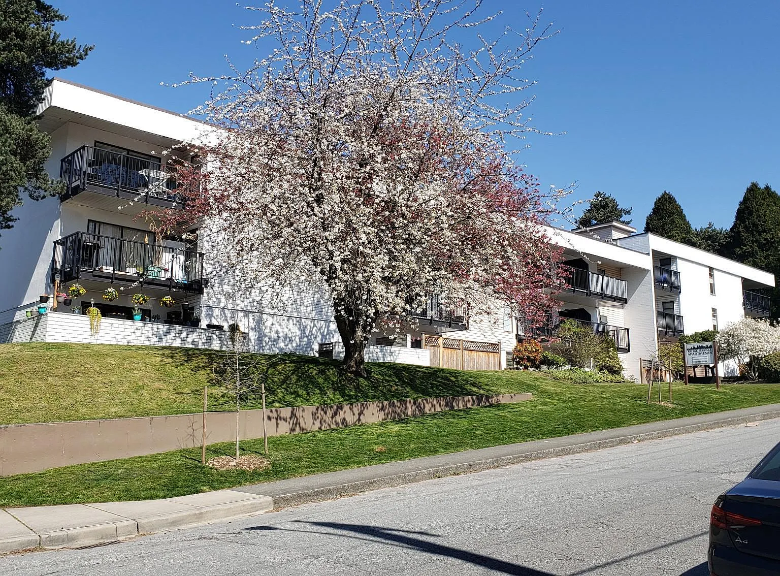 Royal Terrace Apartments — Photo 1