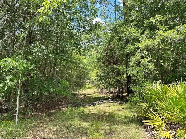 13070 NE 78th Pl Lot 3, Bronson, FL 32621