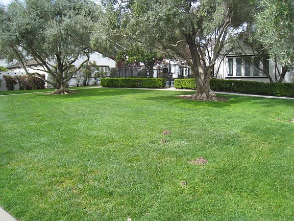 4th image of 16345 Los Gatos Blvd Unit 29