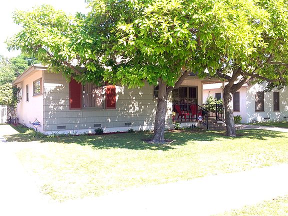 Wonderful shade tree's
